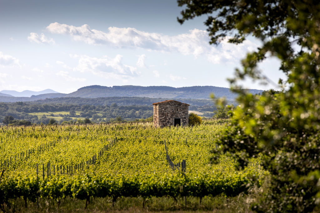 Domaine de Nizas
