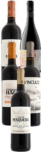 Collectie Familia Fernández Rivera 2026